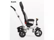 Caretero Toyz Wroom tricikli tolókarral - Black