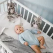 BabyOno csörgő Koala Coco koala plüss 1631